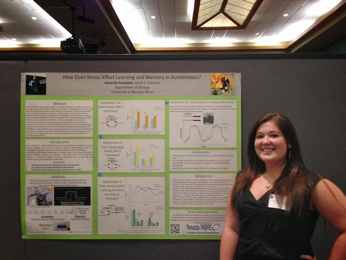 Amanda Valentine Scampini