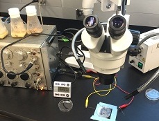 Matthew Dardet230x175