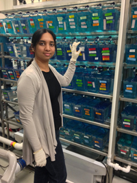 Jayalakshmi Govindan2web