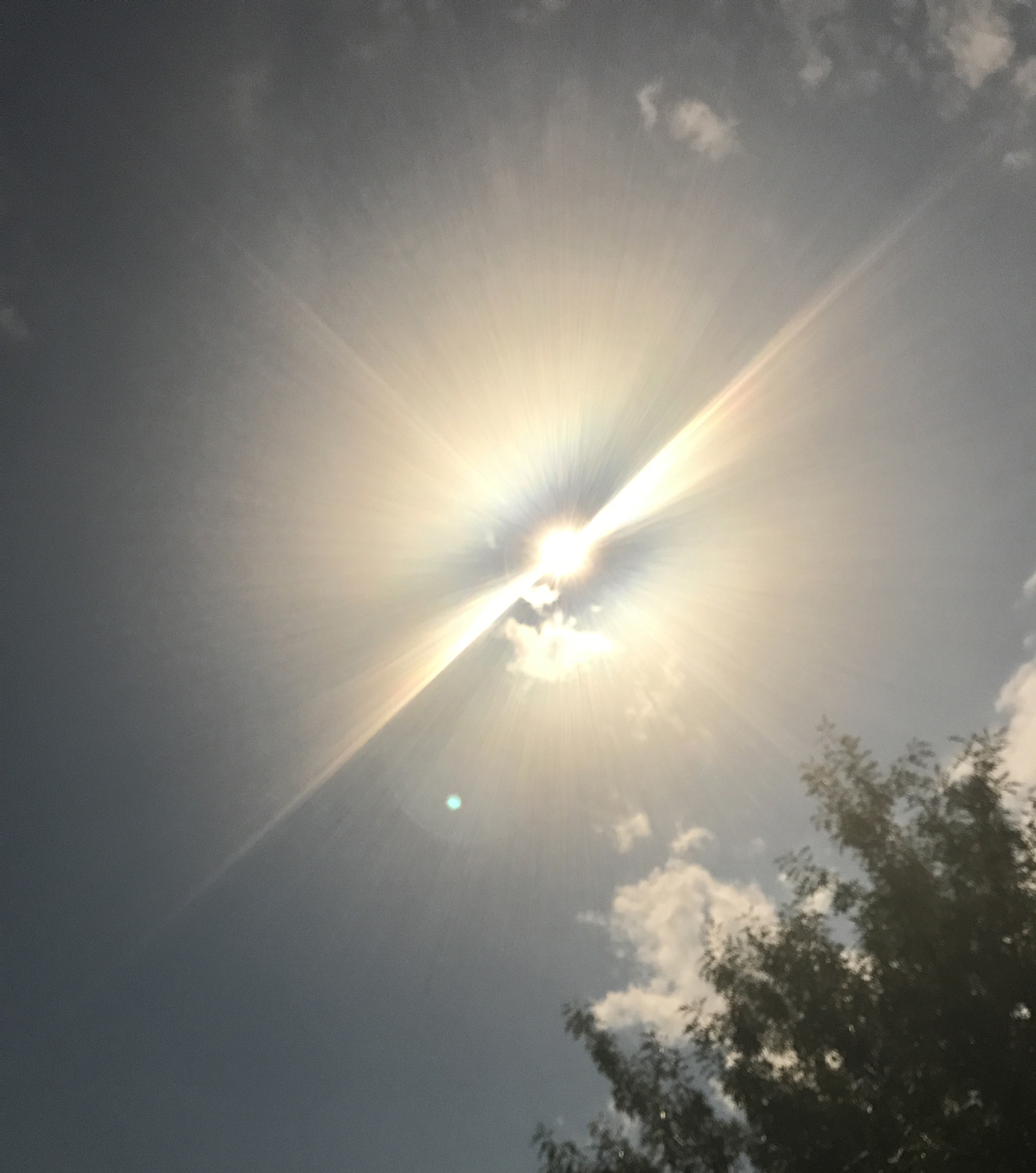 Arthur Hebard cropped