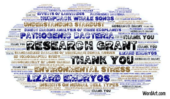 GIARSpring2018WordCloud GIARSpring2018WordCloud