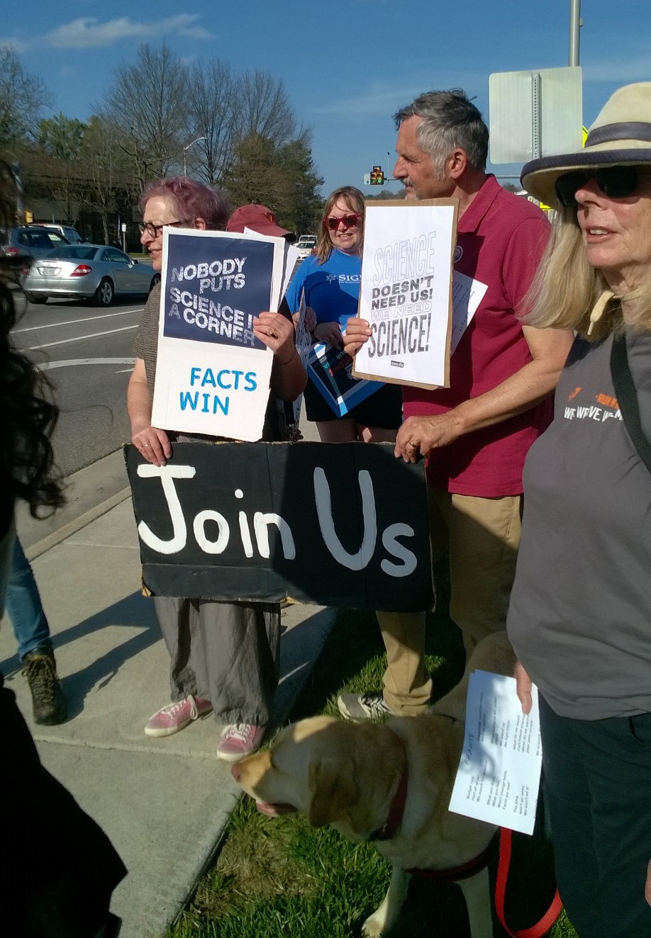 Sign Holders By Street cropped