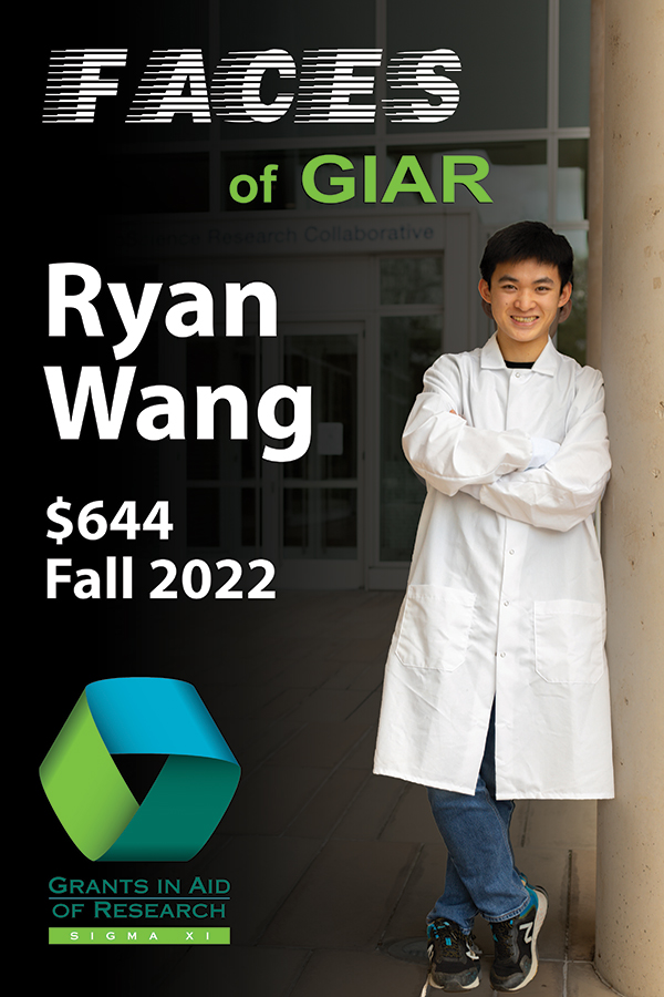 Faces_vertical_2026_Wang