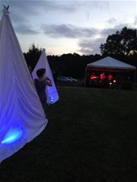 Love Motels for Insects