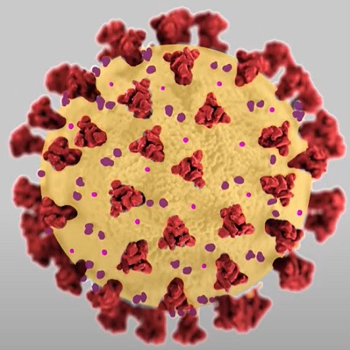 Understanding and Destroying Coronavirus (500x500)