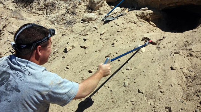 Jason Strickland Jason Strickland