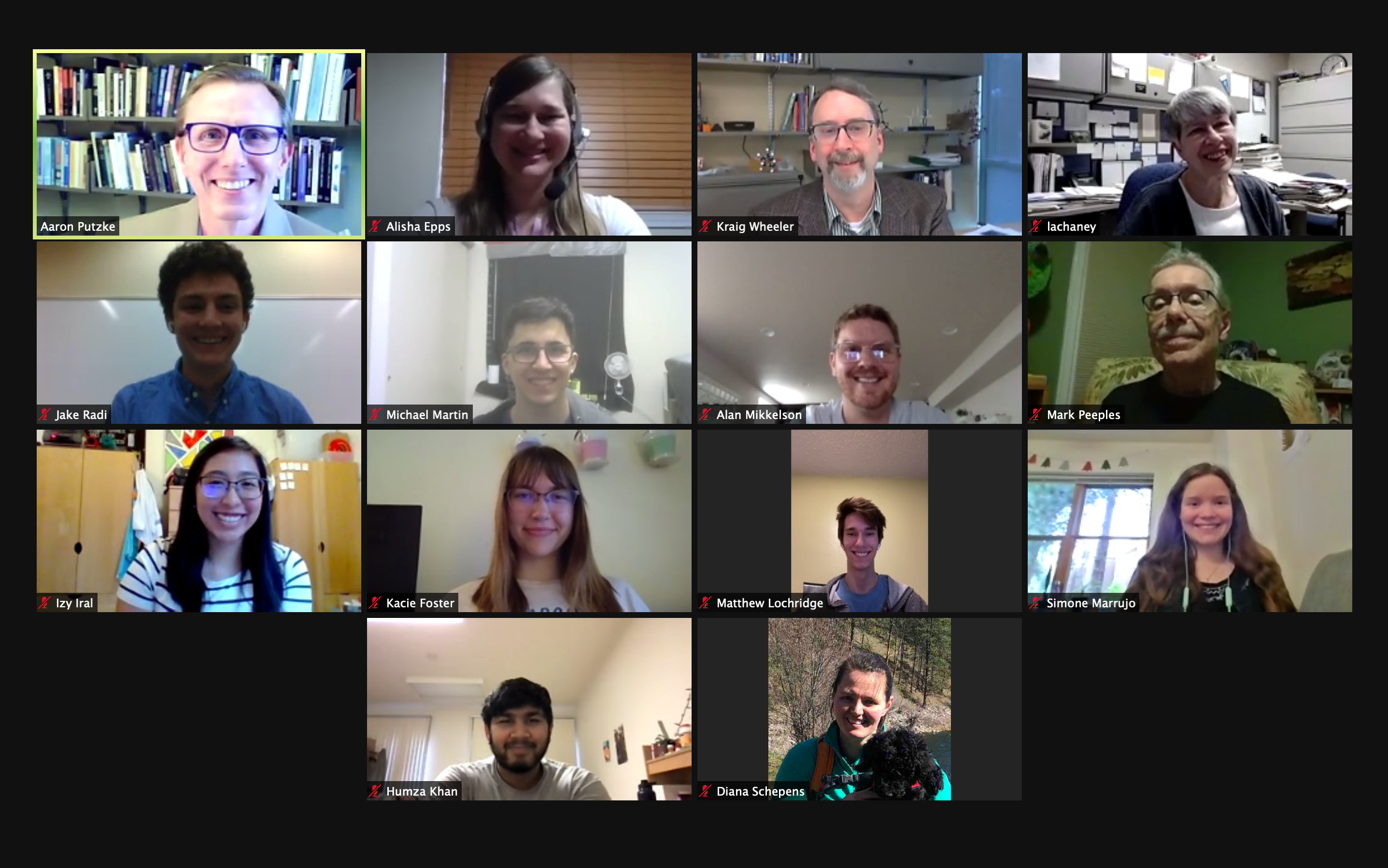 whitworth_installation_screengrab