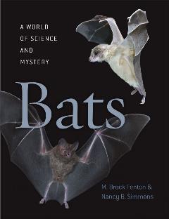 Bats_A World of Science and Mystery