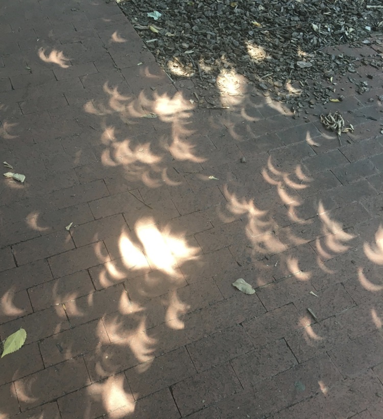 Eclipse_DC8_230pm Eclipse_DC8_230pm