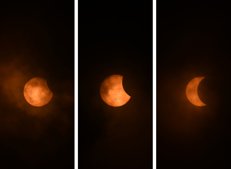 Solar Eclipse Collage Solar Eclipse Collage