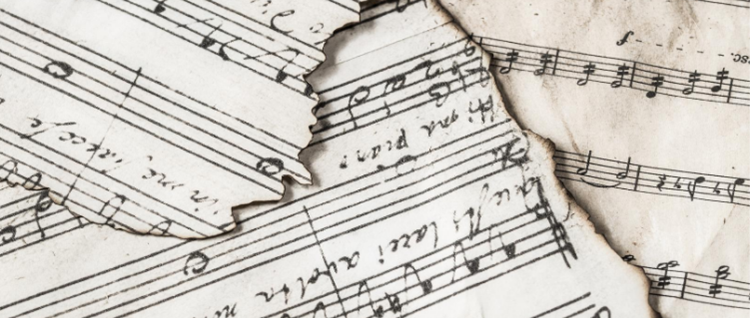 Every Brain Needs Music  Every Brain Needs Music
