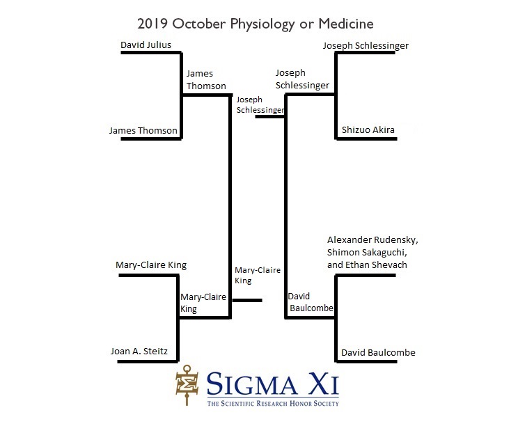 2019 Final Bracket Physiology or Medicine