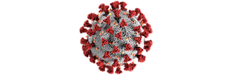 coronavirus illustration